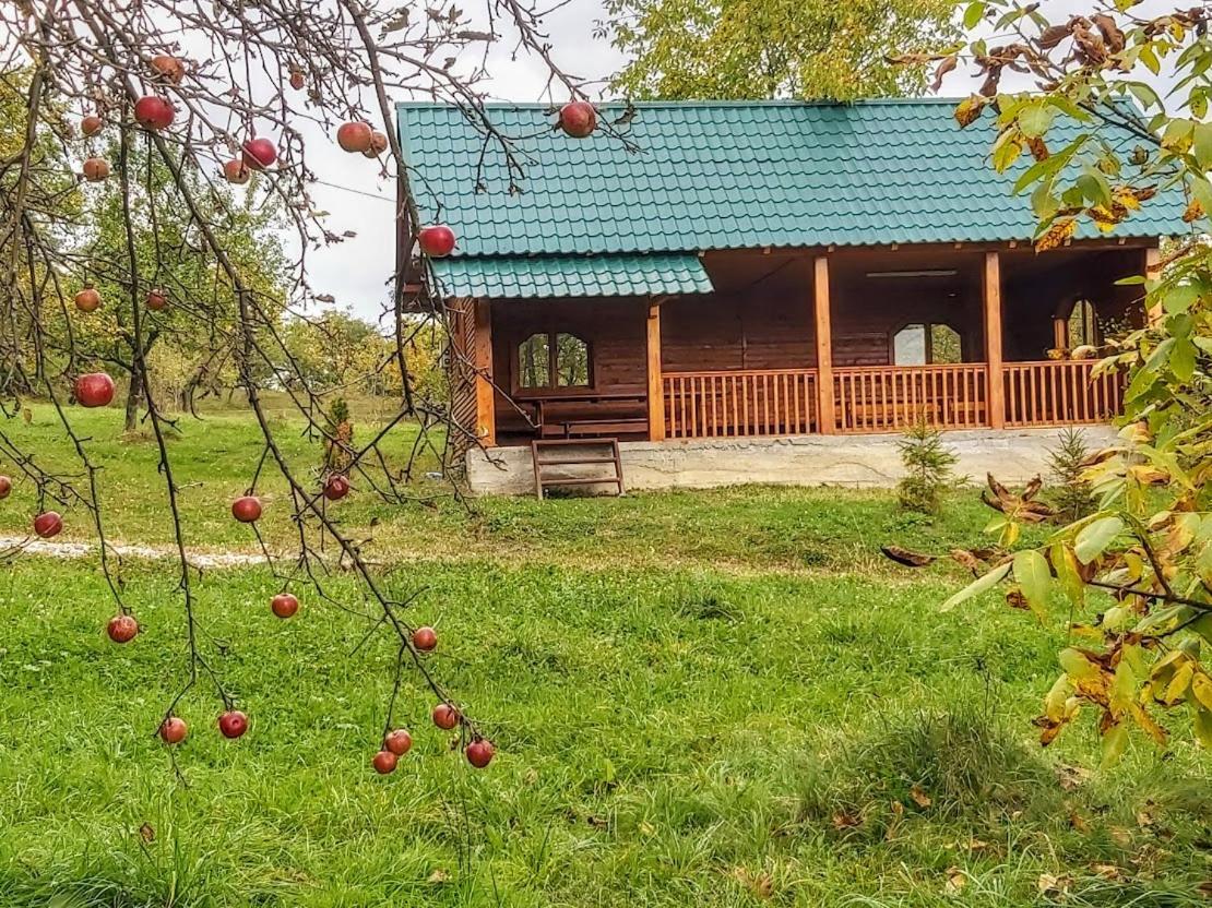 Pensiunea Agroturistica Piscul Soarelui Câmpulung Zewnętrze zdjęcie