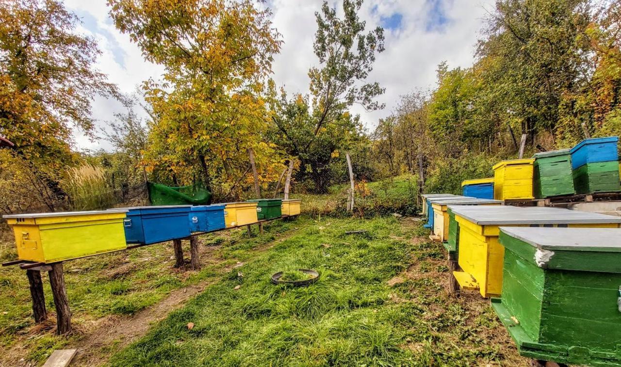 Pensiunea Agroturistica Piscul Soarelui Câmpulung Zewnętrze zdjęcie
