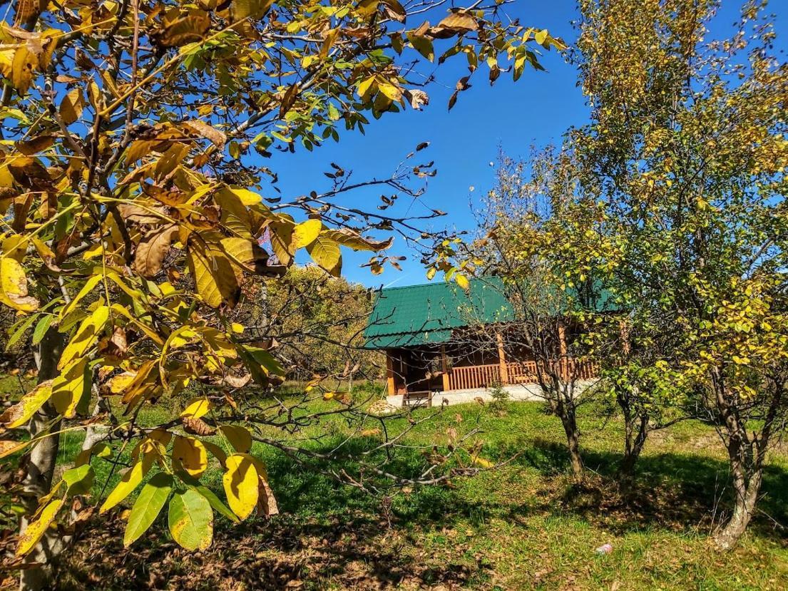 Pensiunea Agroturistica Piscul Soarelui Câmpulung Zewnętrze zdjęcie